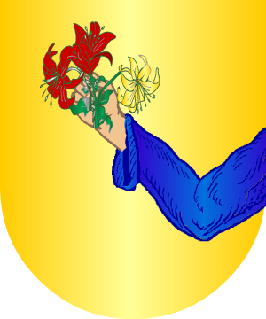 ESCUDO ALEATORIO